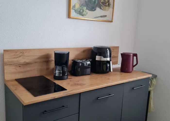 Apartmán Gambrinus Schneeberg (Saxony)